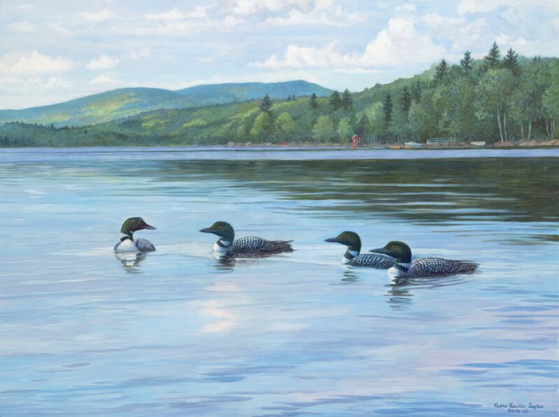 The Gathering—Loons