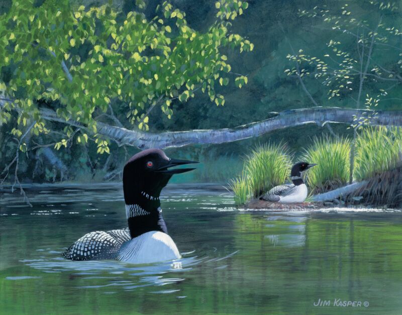The Guardian—Loons