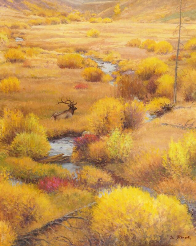 The Old Bull's Last Autumn