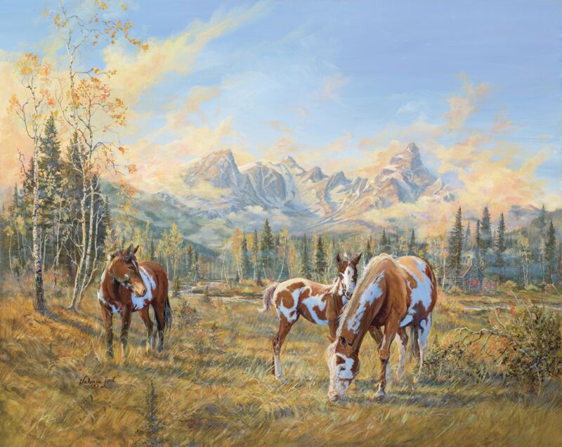 The Simple Life—Horses