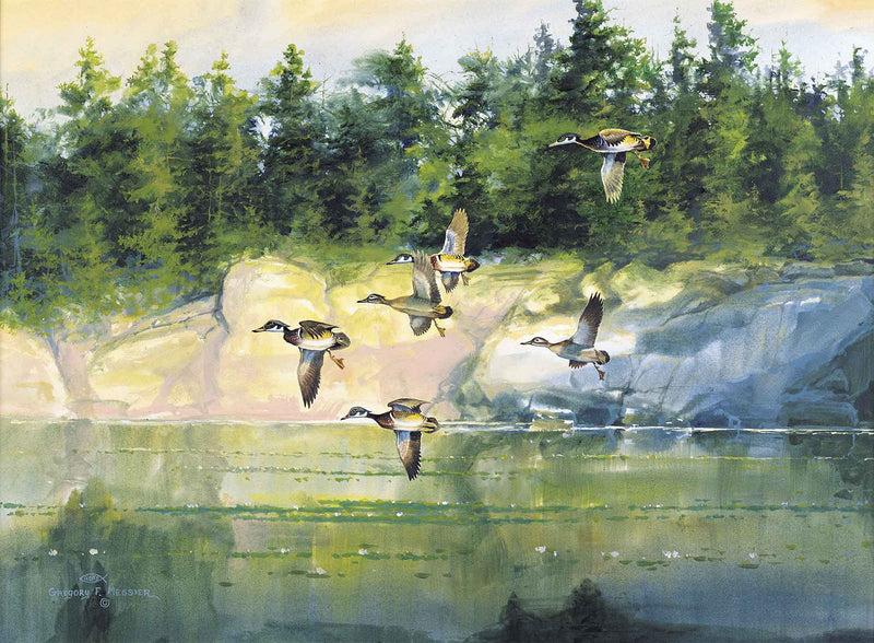 The Woodies—Wood Ducks