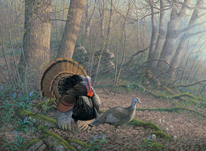 Tom Foolery - Turkey