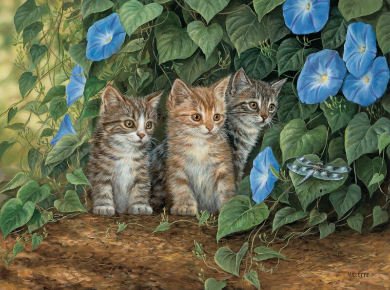 Triple Trouble—Kittens