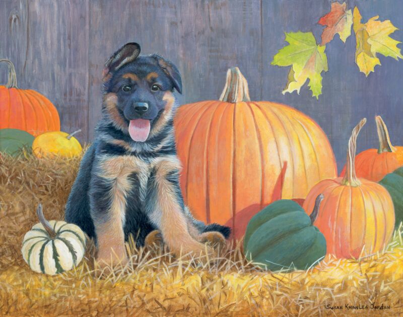 Tuckered Out—German Shepherd Pup