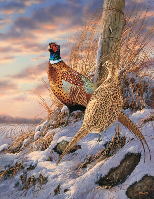 Twilight Escapade—Pheasants