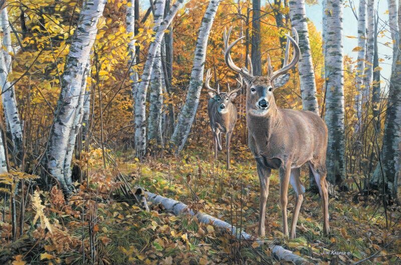 Two to Tangle - Whitetail Deer