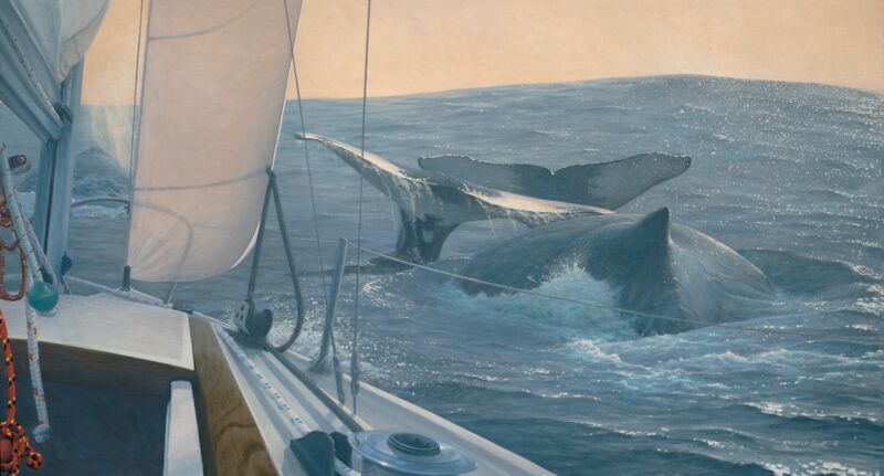 Voyagers—Humpback Whales