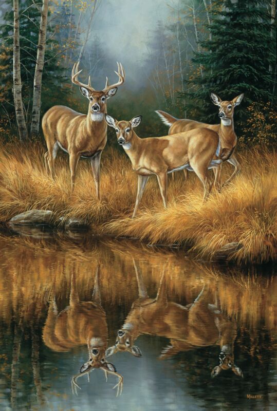 In His Prime-Whitetail Deer - 9 x 9 Stained Glass Art Stained Glass