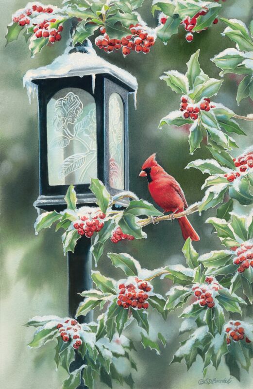 Winter—Cardinal