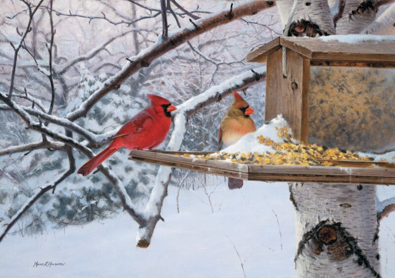 Winter Favorites—Cardinals
