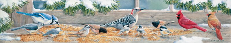 Winter Feast-Songbirds