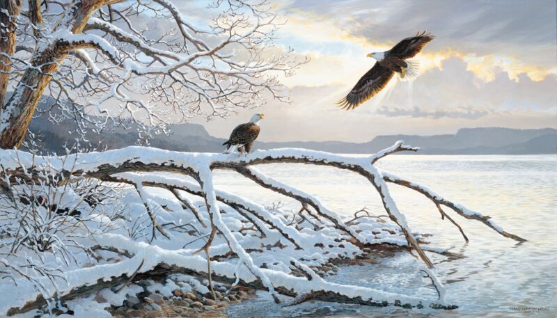 Winter Majesty—Bald Eagles