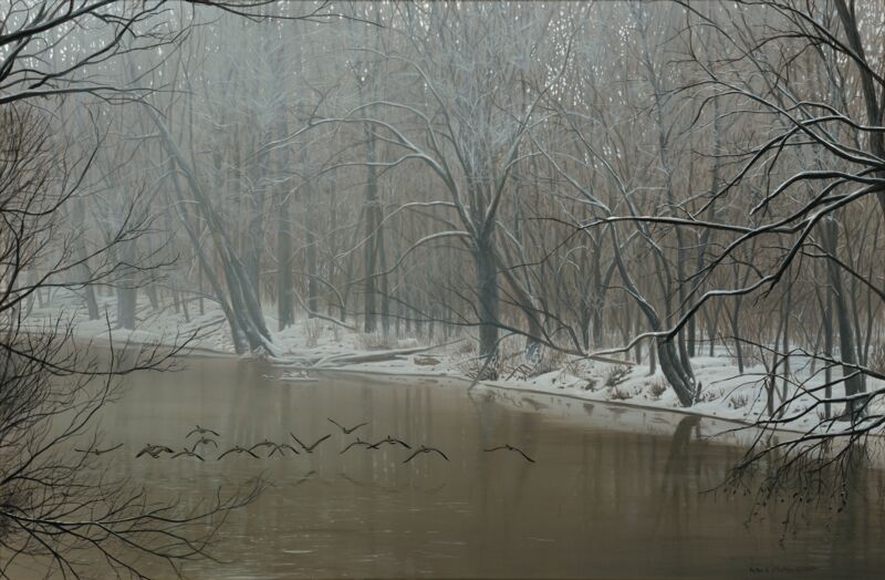 Winter Wings—Canada Geese