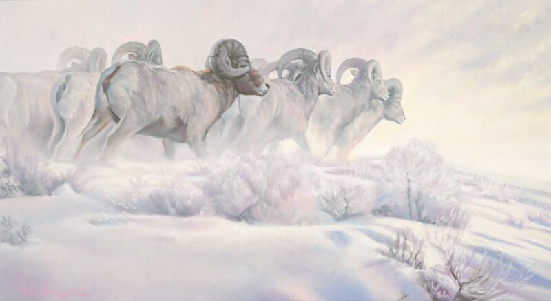 Winter's Edge—Rams
