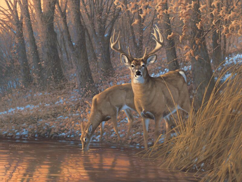 Woodland Waterhole-WTD