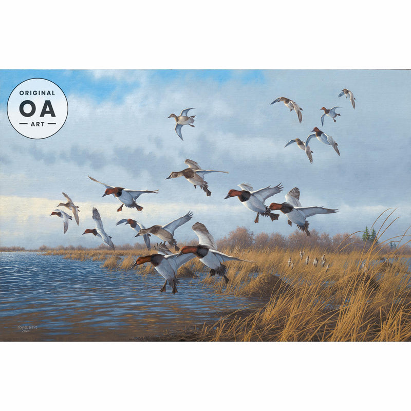 Back Bay - Canvasbacks by Michael Sieve