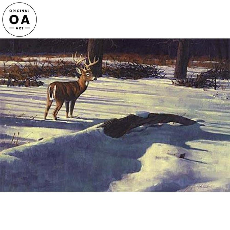 Early Snow—Whitetail Deer: Hilscher by Tony Hilscher