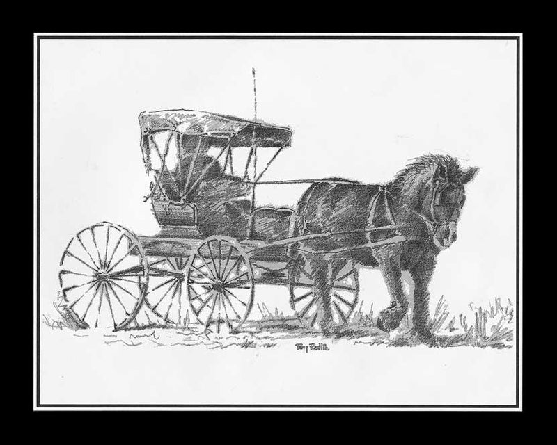 Horse and Buggy