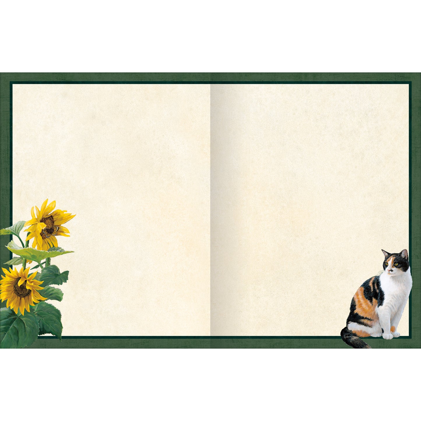 Sunflower Sanctuary - Boxed Note Cards