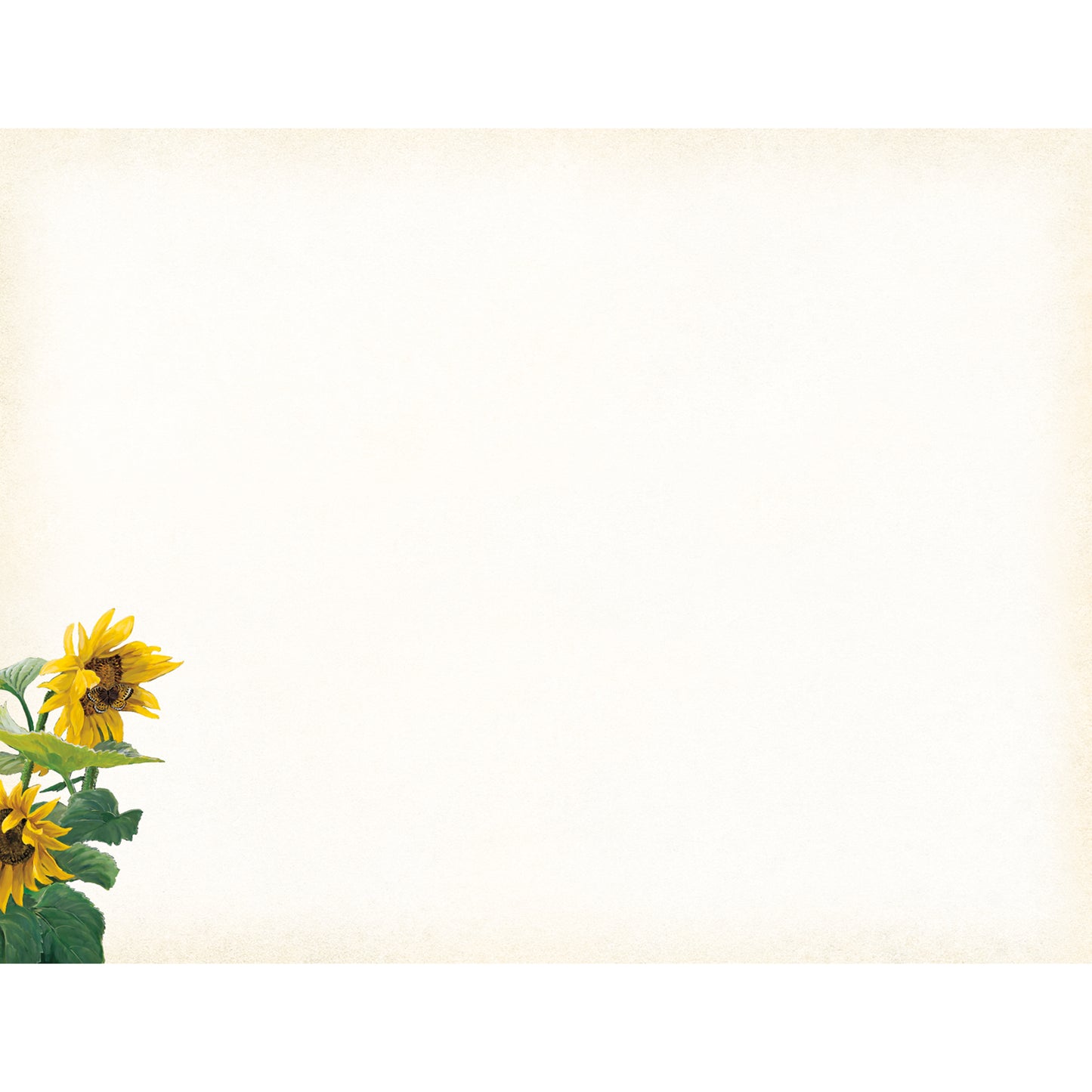 Sunflower Sanctuary - Boxed Note Cards