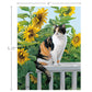Sunflower Sanctuary - Boxed Note Cards