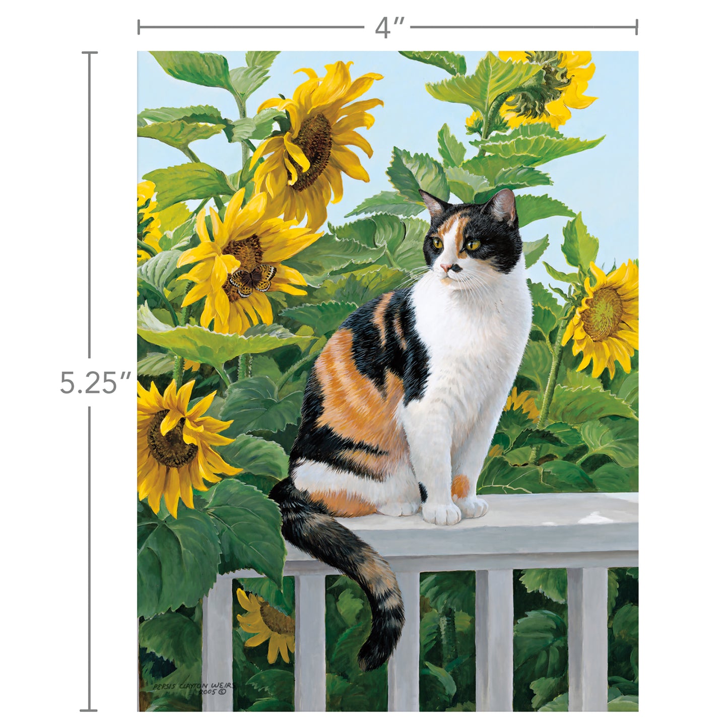 Sunflower Sanctuary - Boxed Note Cards