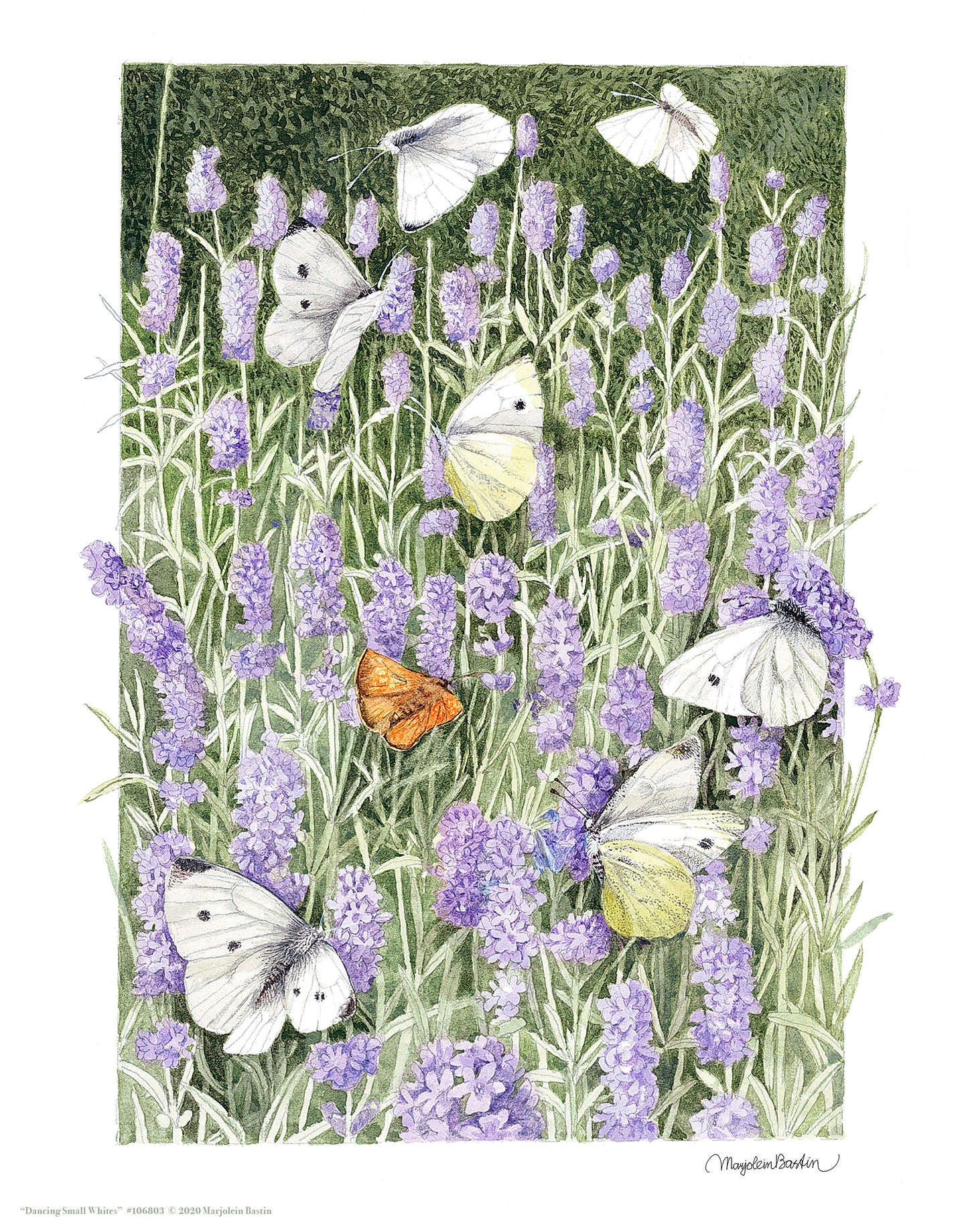 Dancing Small Whites - Art Prints