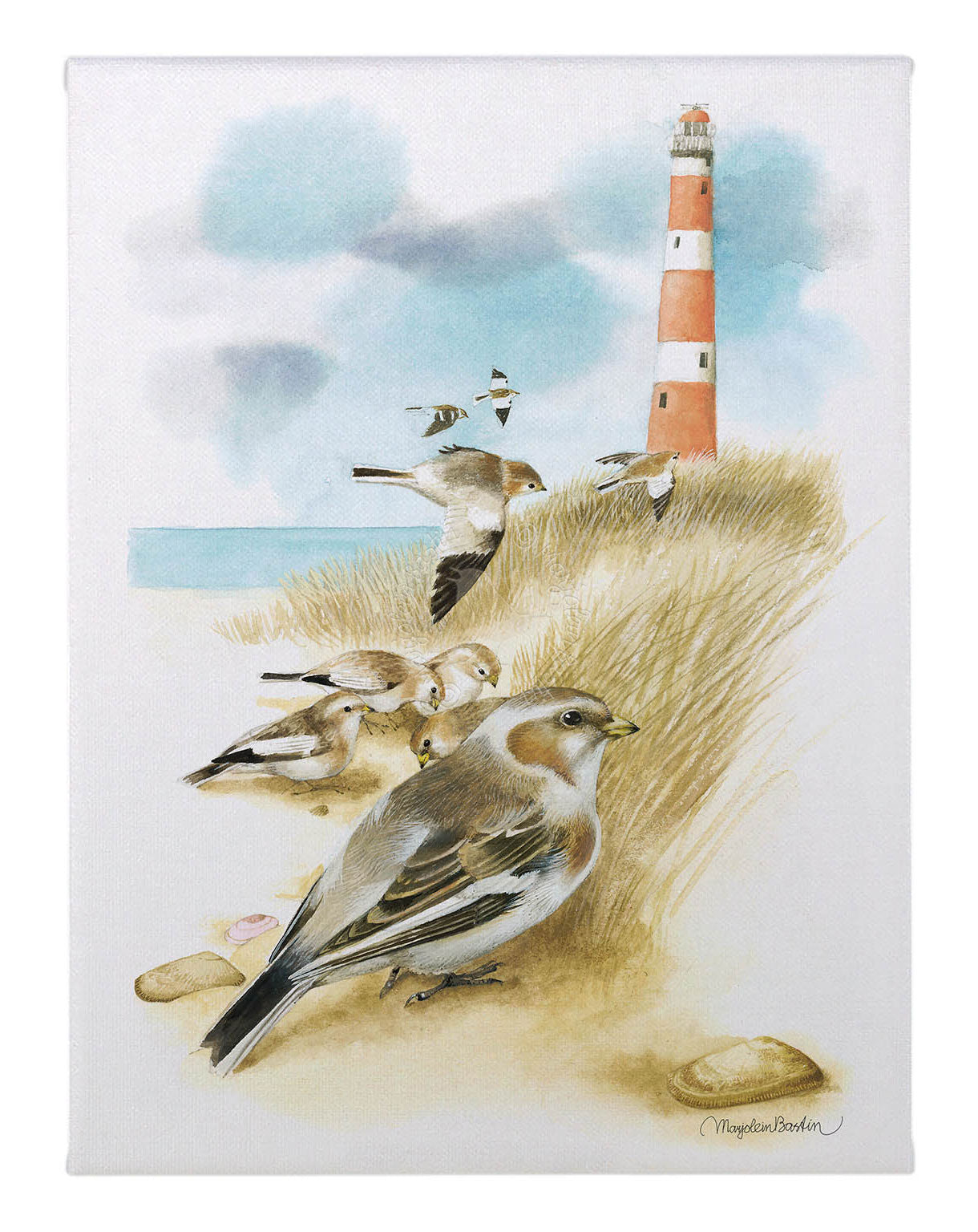 Snow Buntings - 12" x 9" Gallery Wrapped Canvas