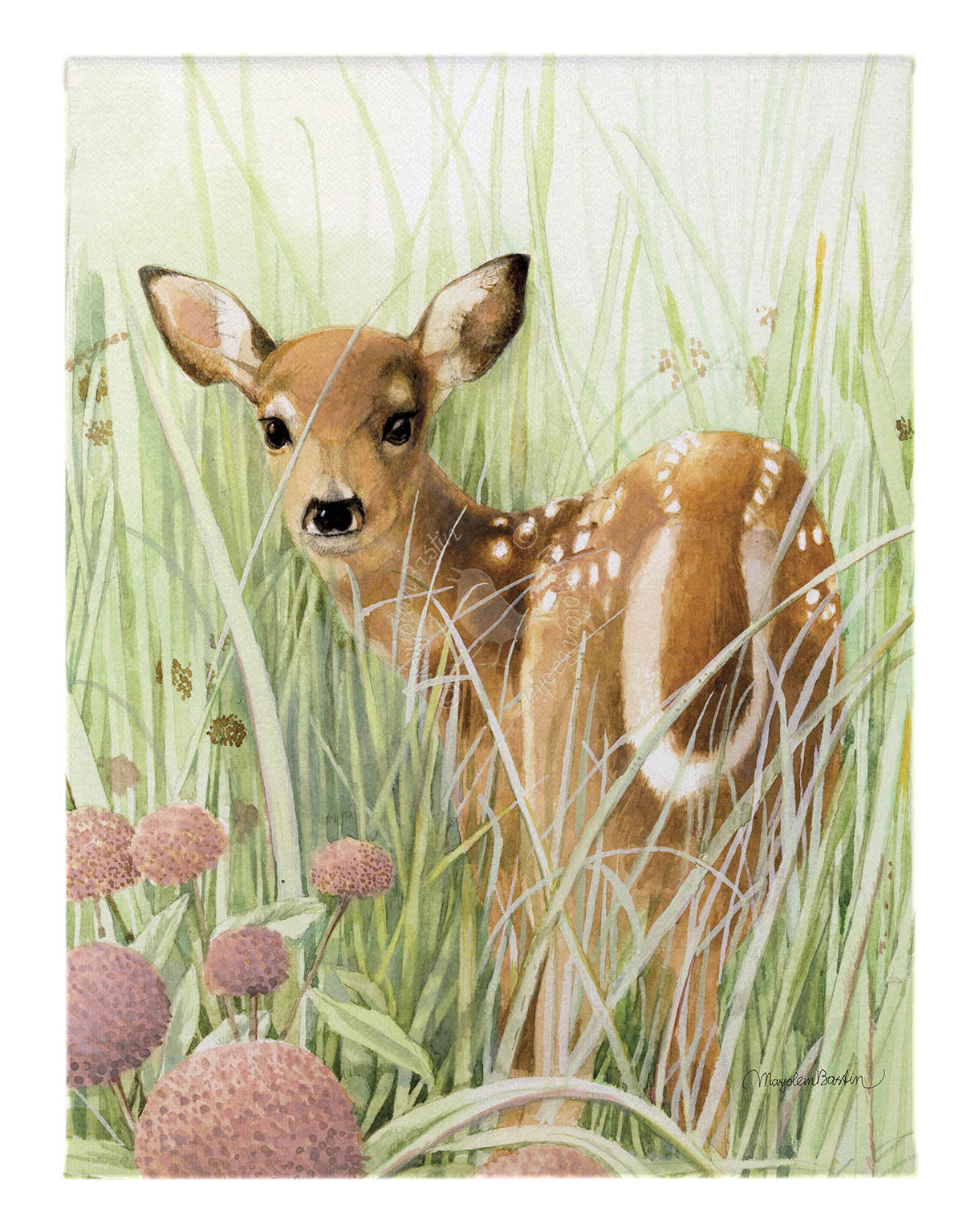 Chance Encounter - 12" x 9" Gallery Wrapped Canvas