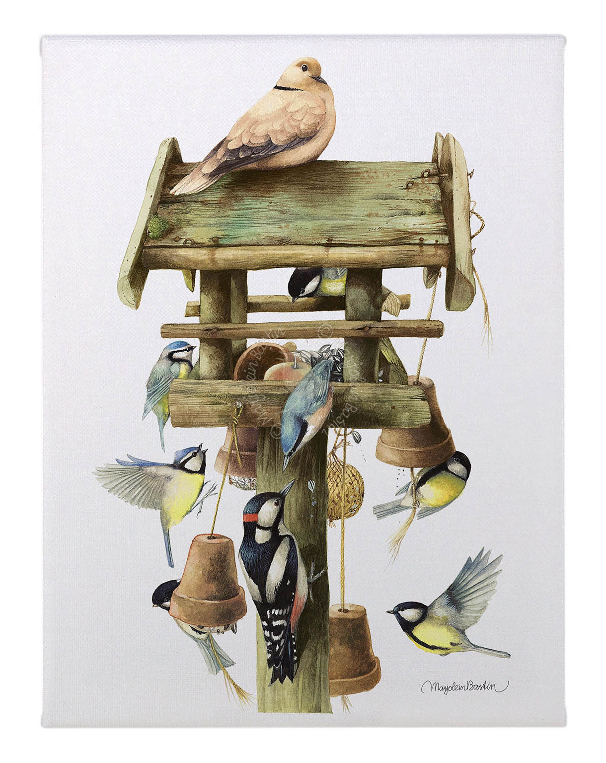 Busy Birdfeeder - 12" x 9" Gallery Wrapped Canvas