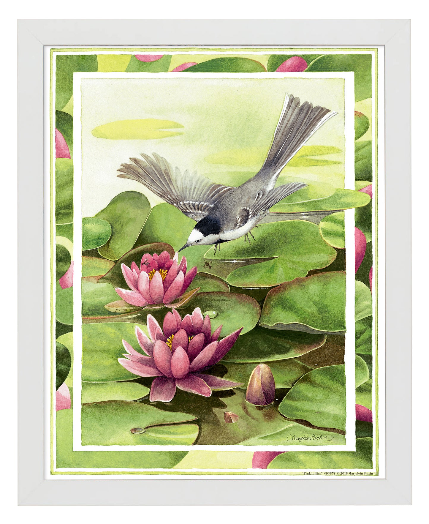 Pink Lilies - Art Prints