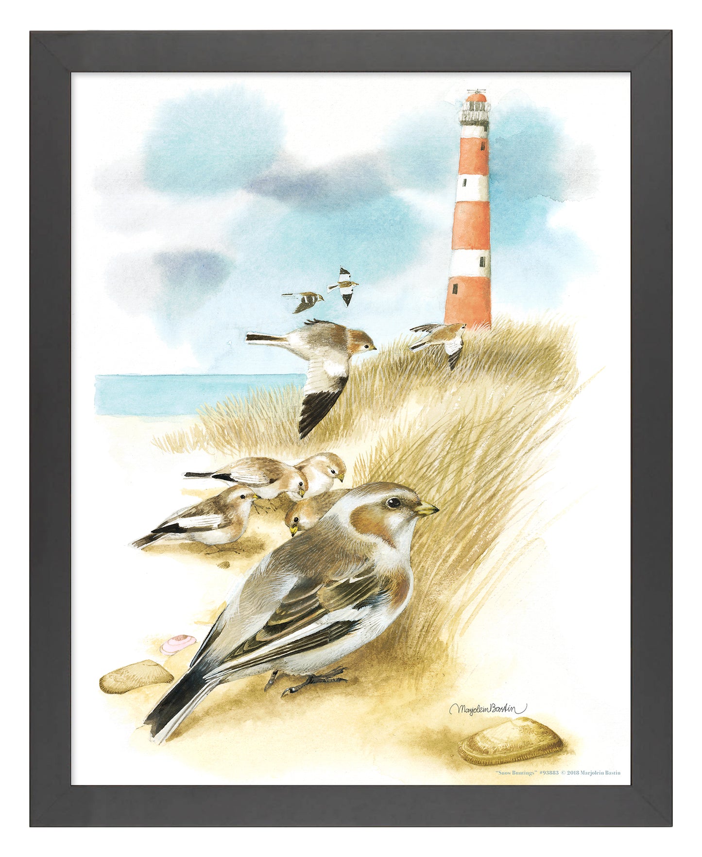 Snow Buntings - Art Prints