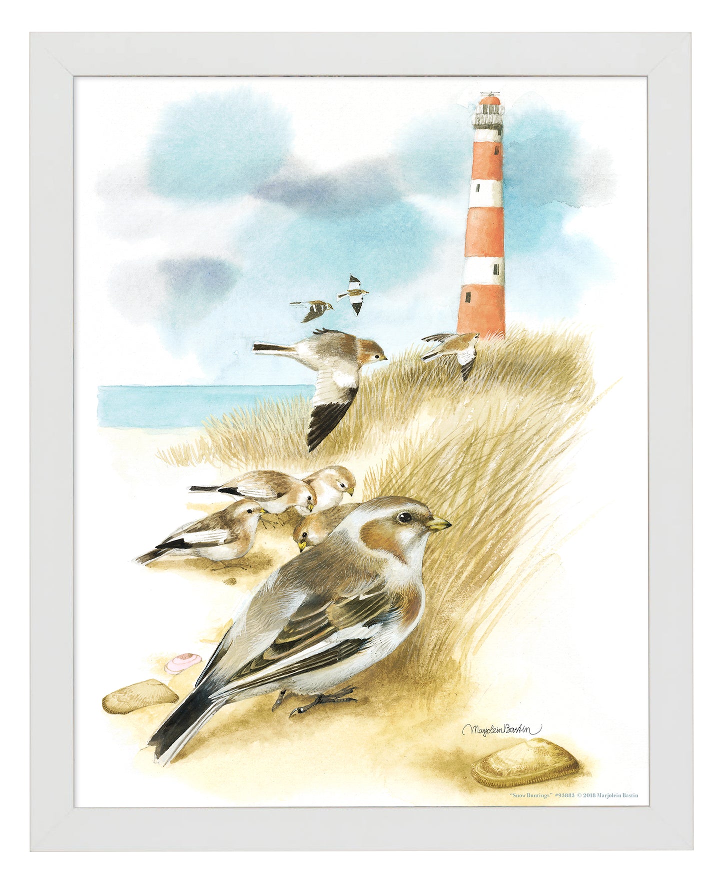 Snow Buntings - Art Prints
