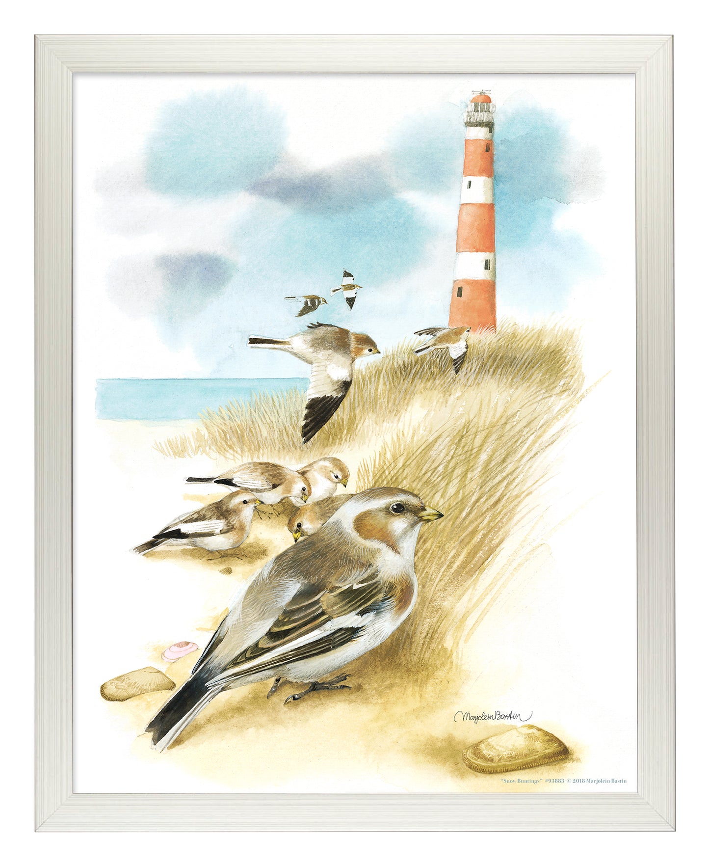 Snow Buntings - Art Prints