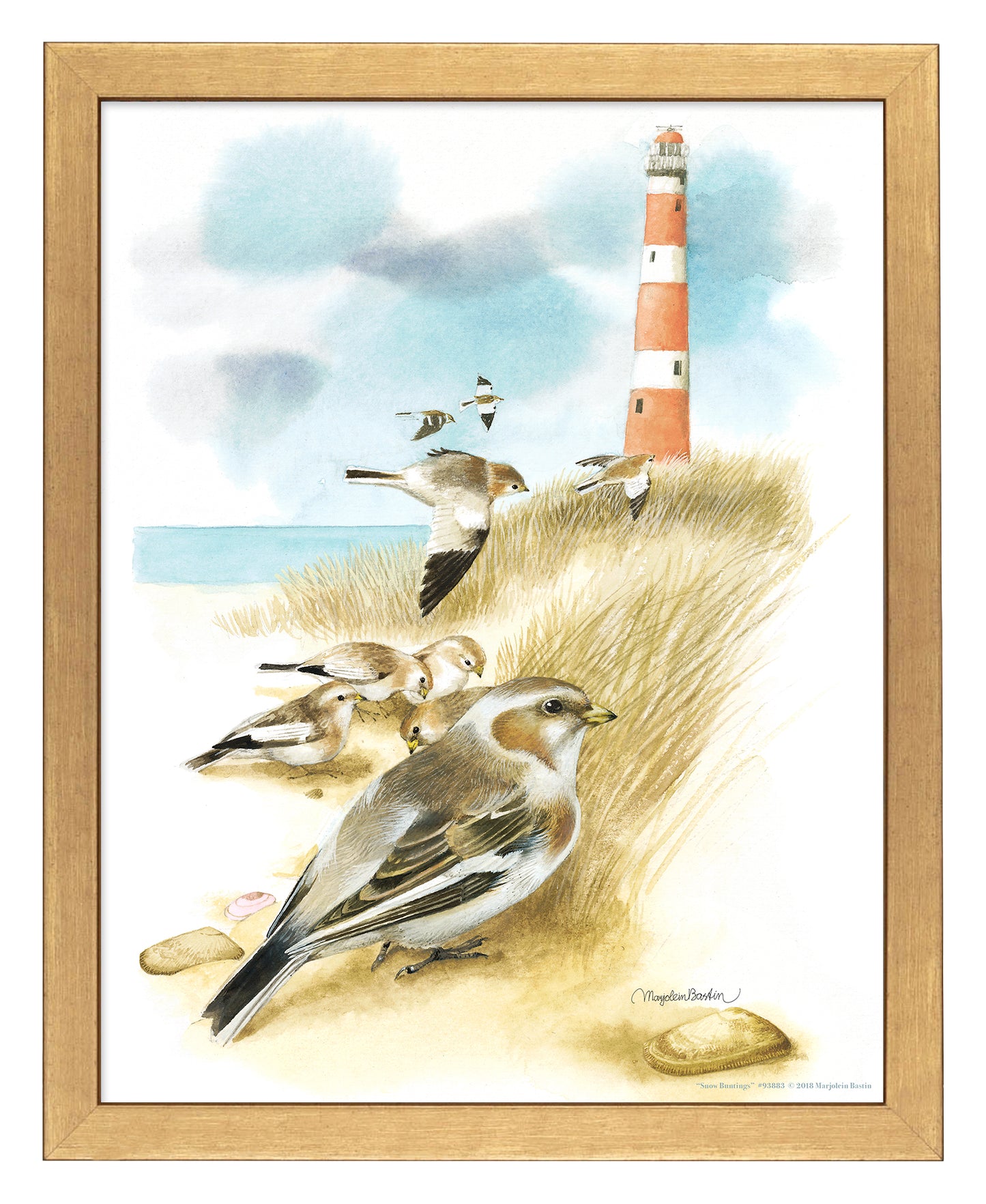 Snow Buntings - Art Prints