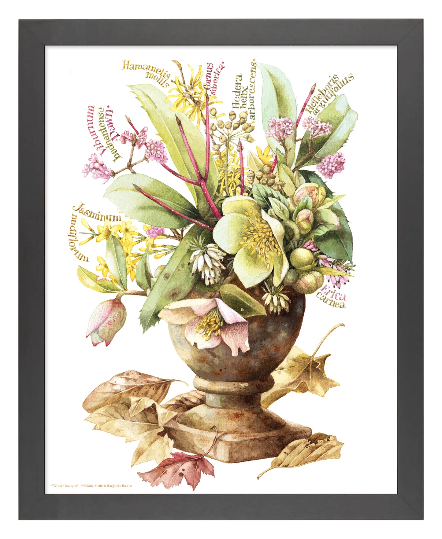Winter Bouquet - Art Prints