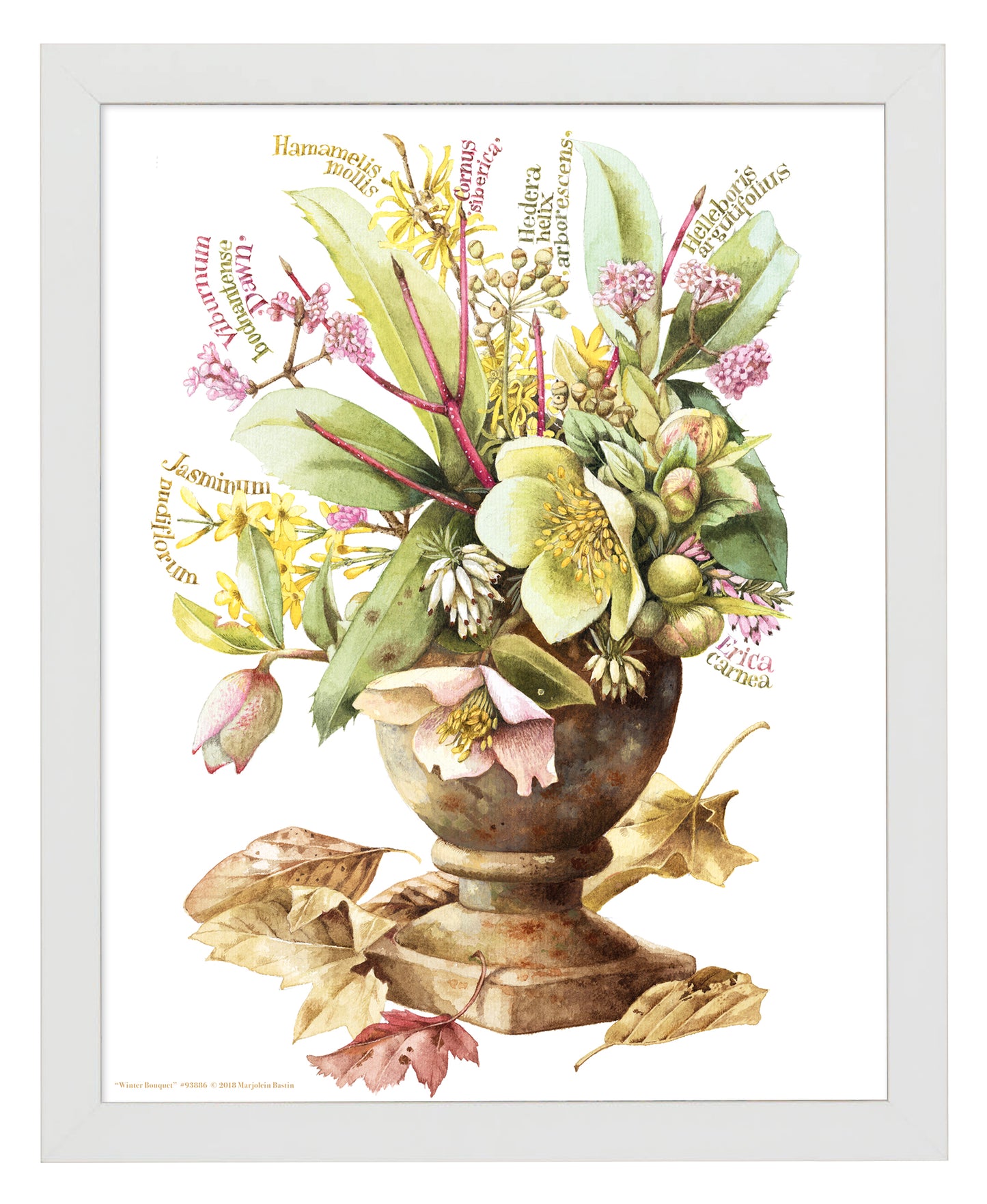 Winter Bouquet - Art Prints