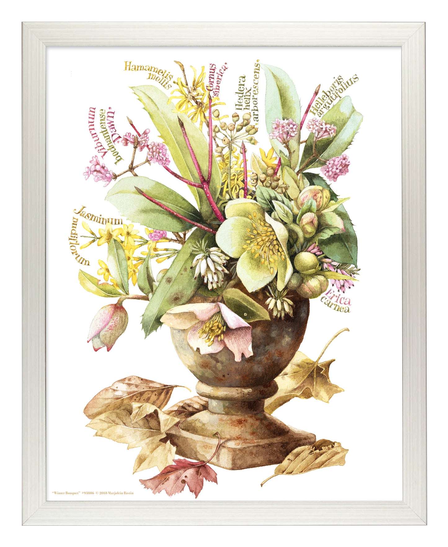 Winter Bouquet - Art Prints