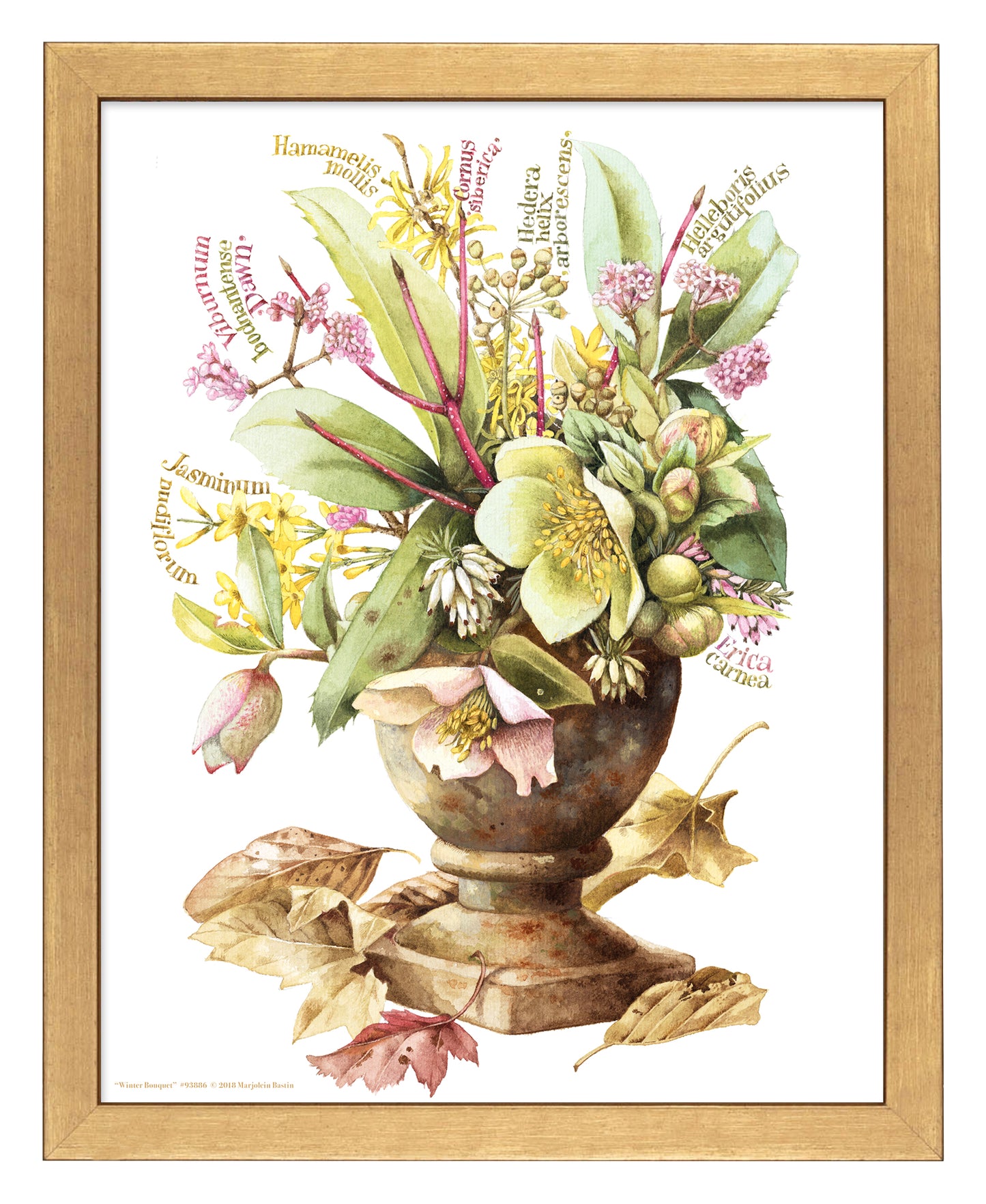 Winter Bouquet - Art Prints