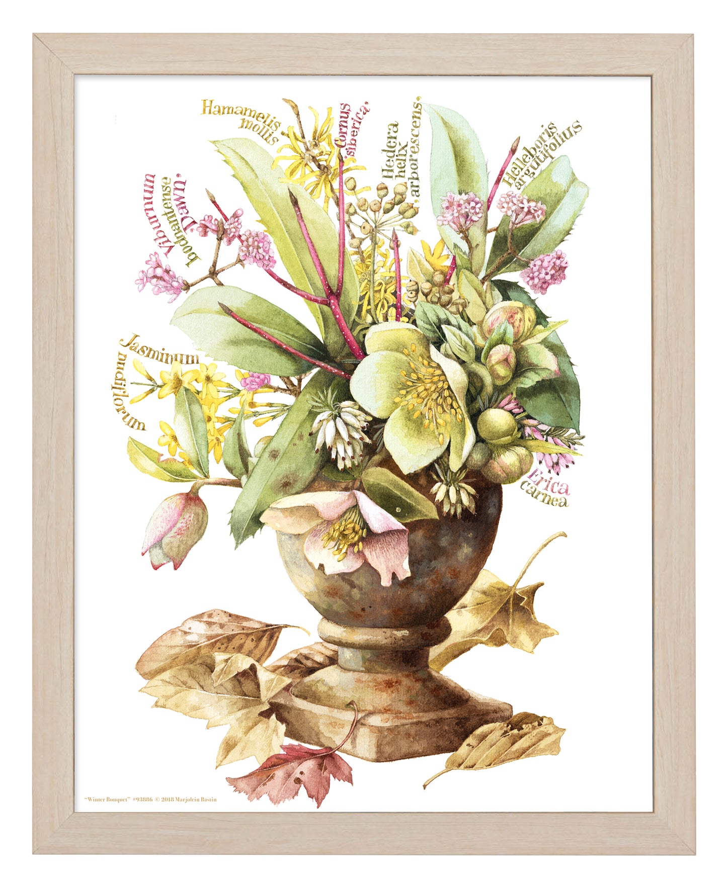 Winter Bouquet - Art Prints