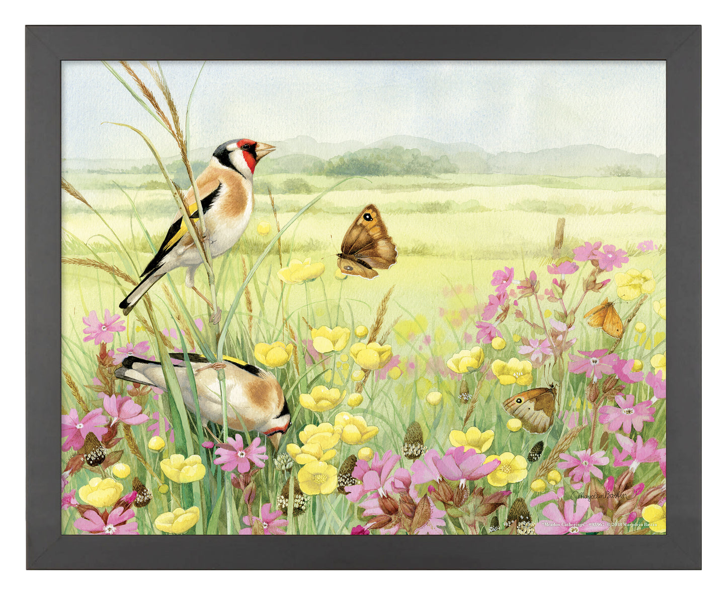 Meadow Gatherings - Art Prints