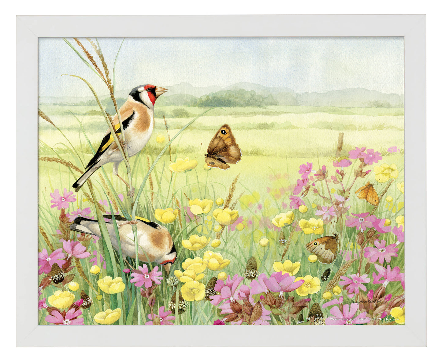 Meadow Gatherings - Art Prints