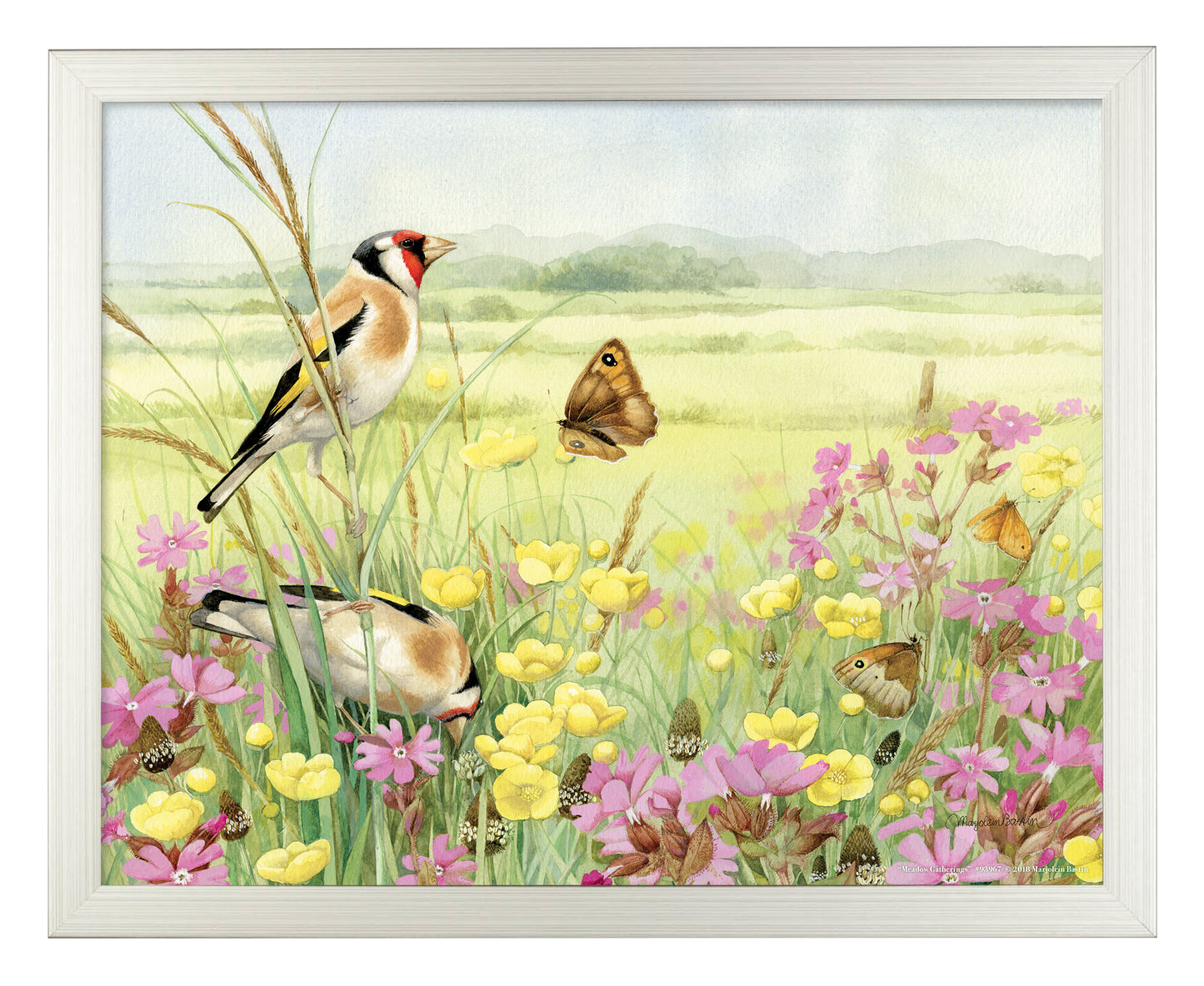 Meadow Gatherings - Art Prints