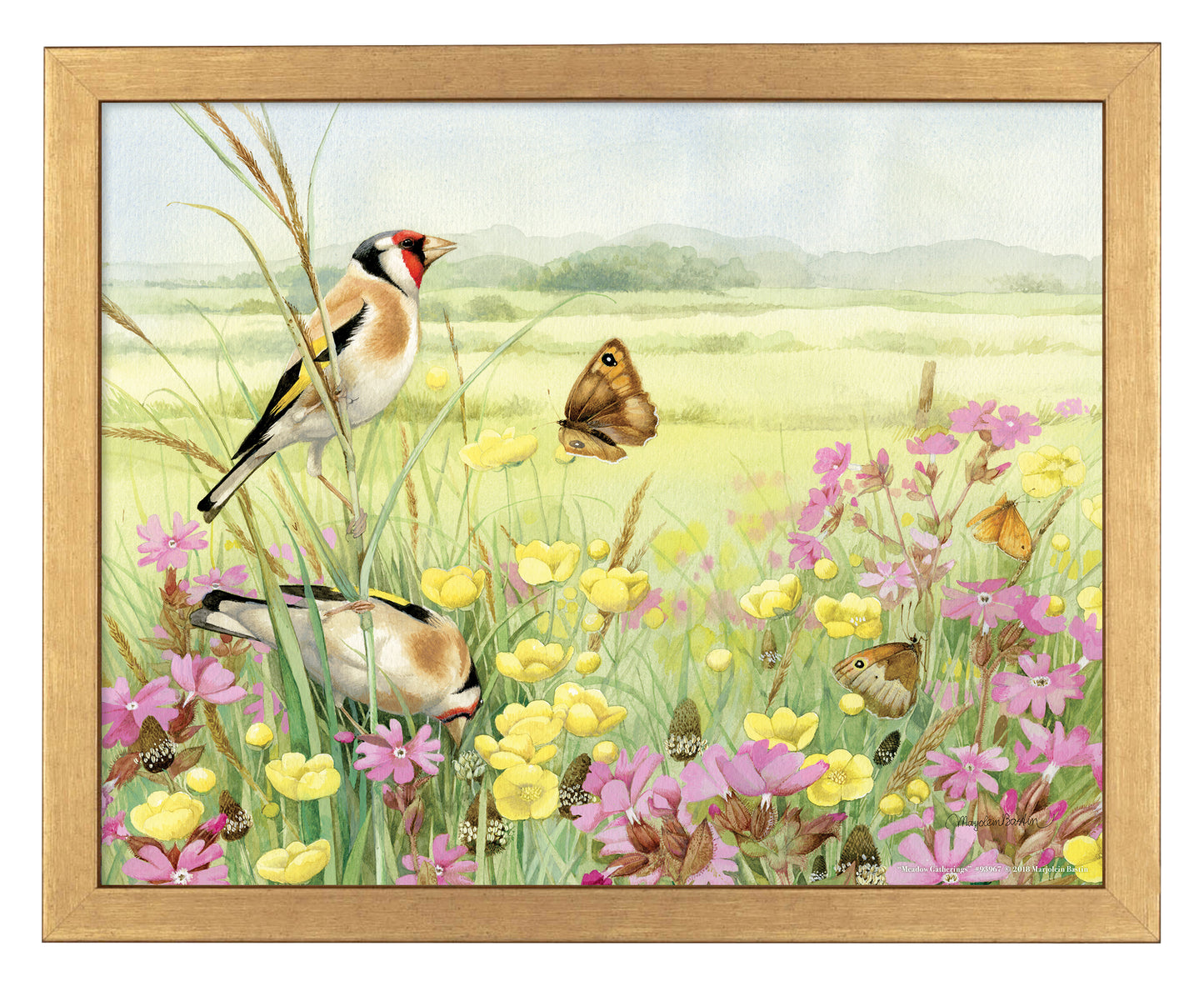 Meadow Gatherings - Art Prints