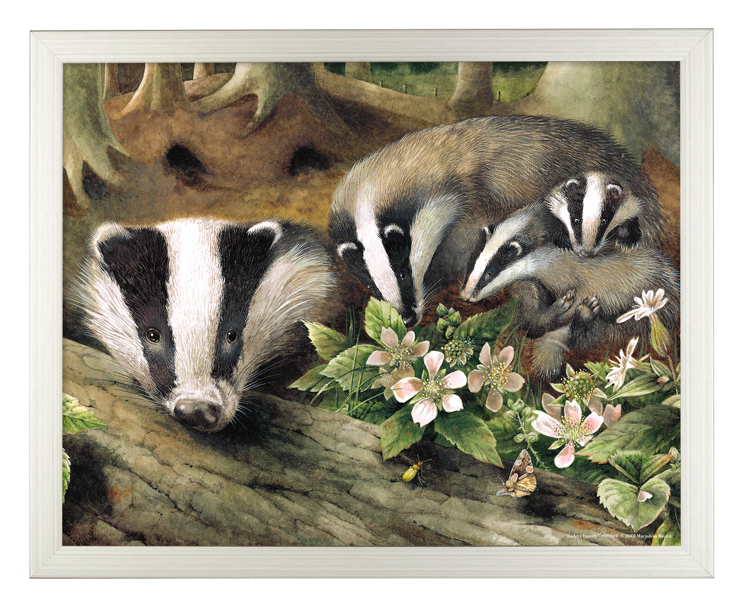 Badger Family - Art Prints