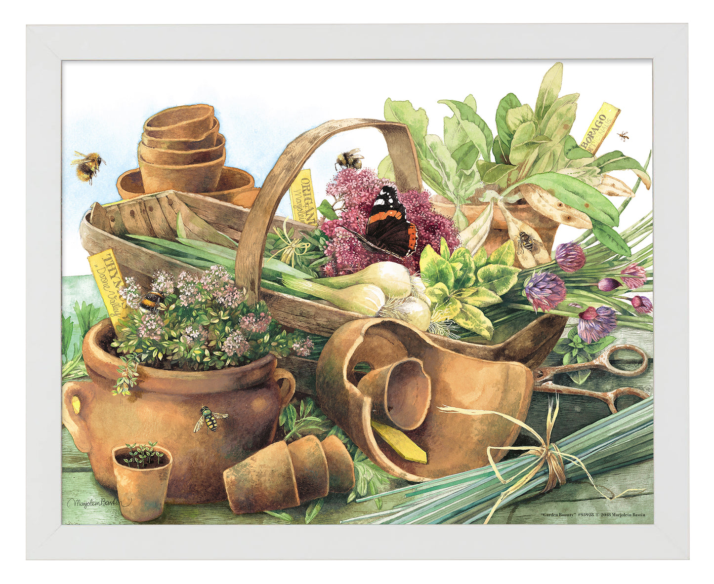 Garden Bounty - Art Prints