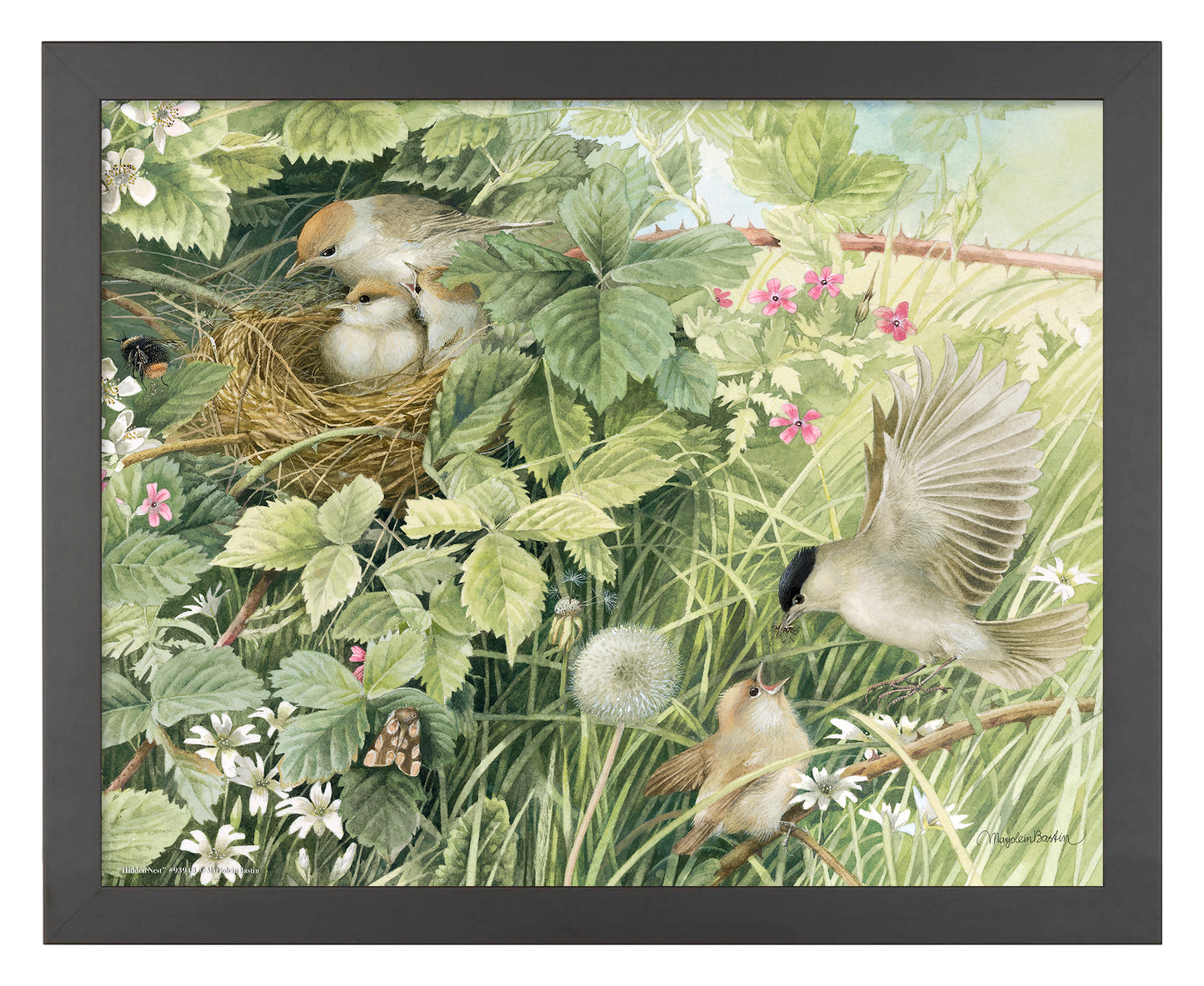 Hidden Nest - Art Prints