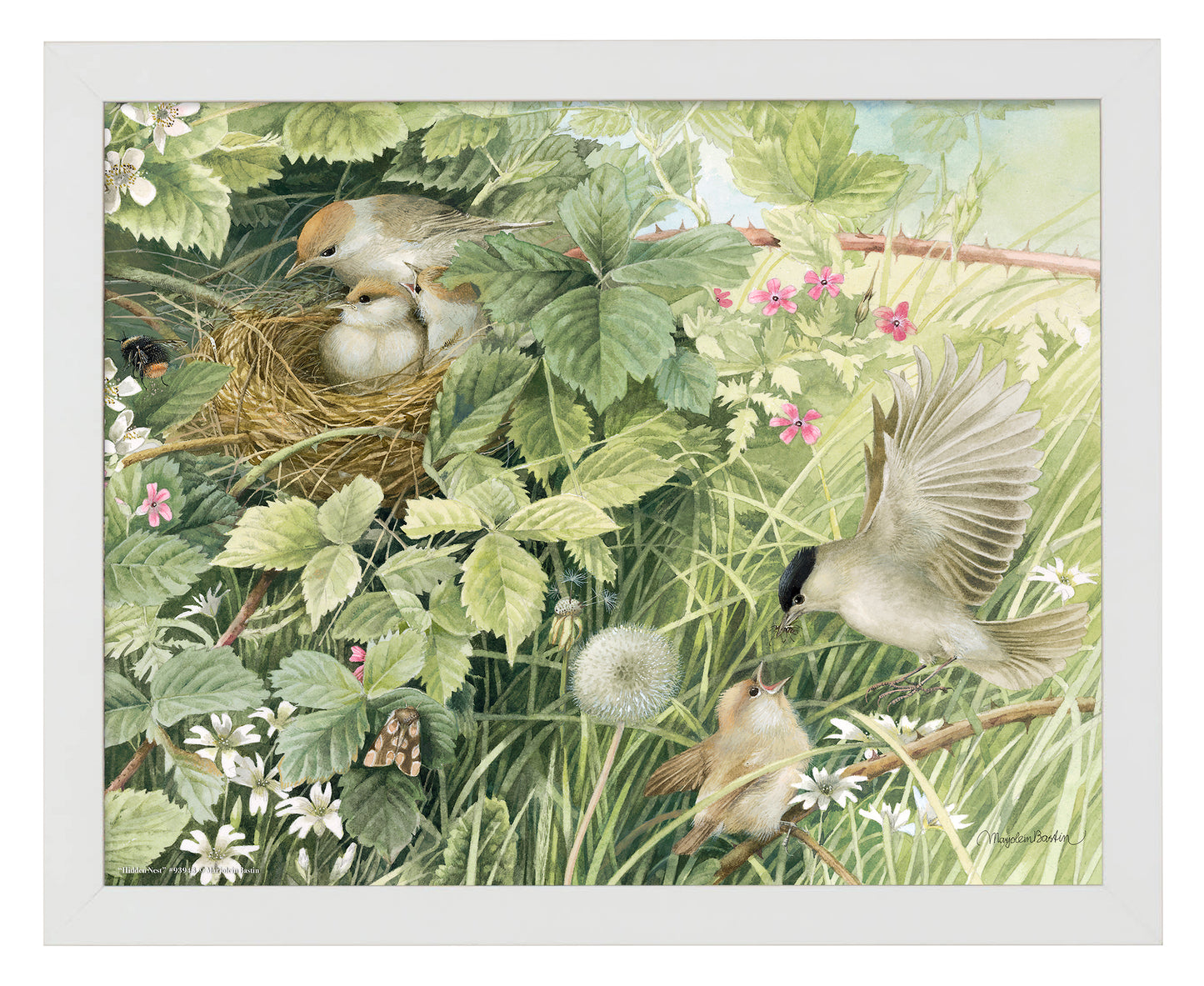 Hidden Nest - Art Prints
