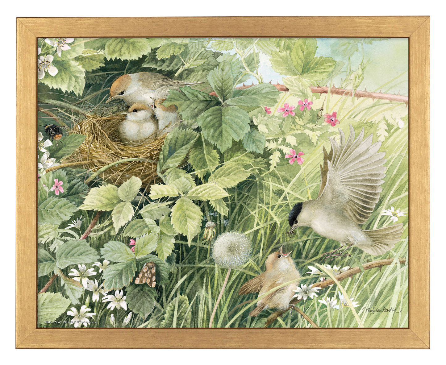 Hidden Nest - Art Prints