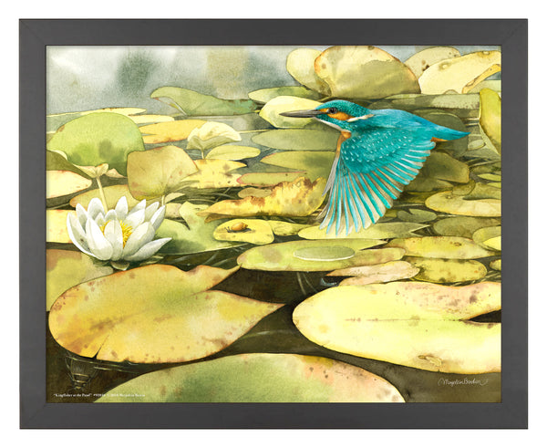 Kingfisher at the Pond - Art Prints